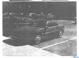 Lola Fry 28yrs old - Indianapolis, IN - 1993